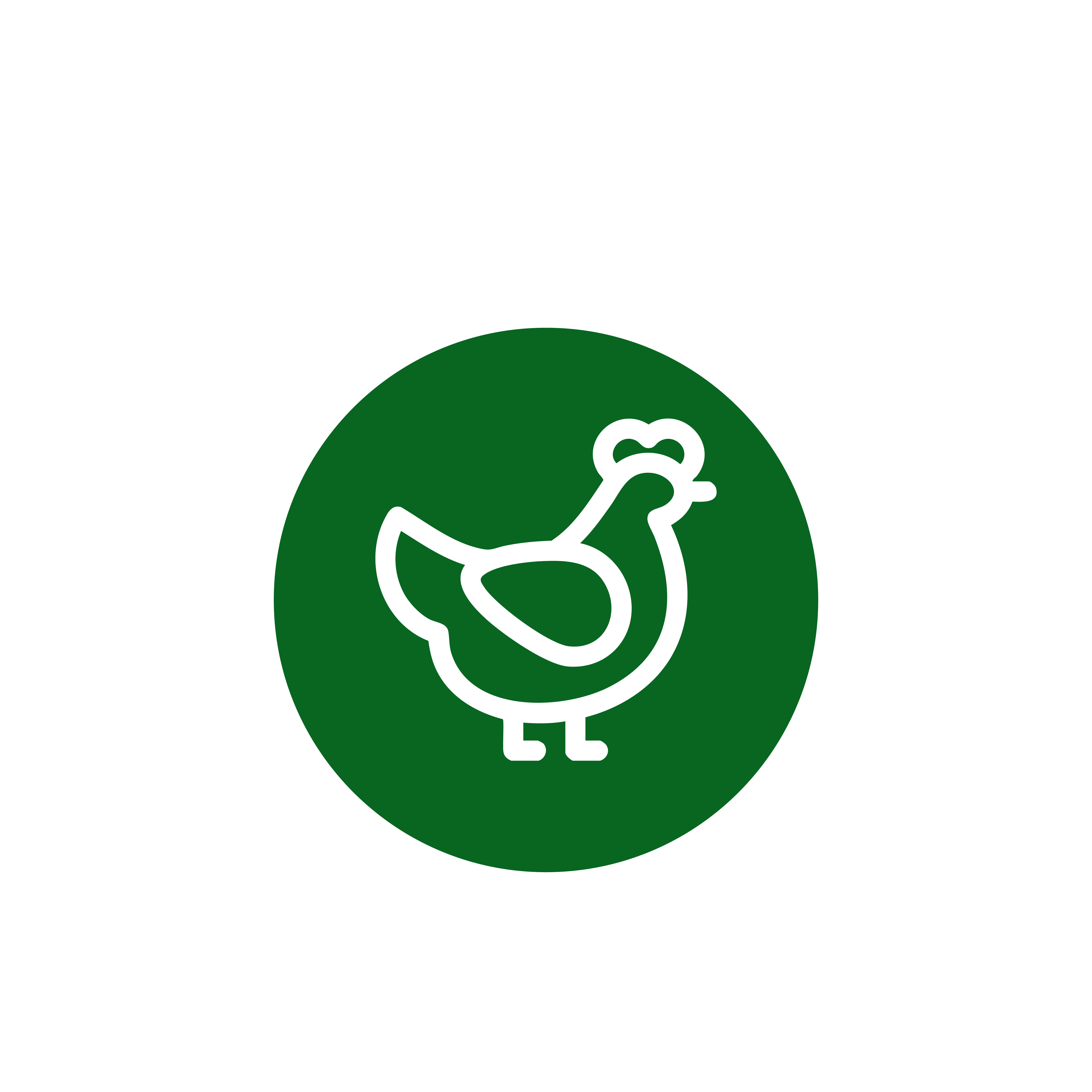 Ícono Aves